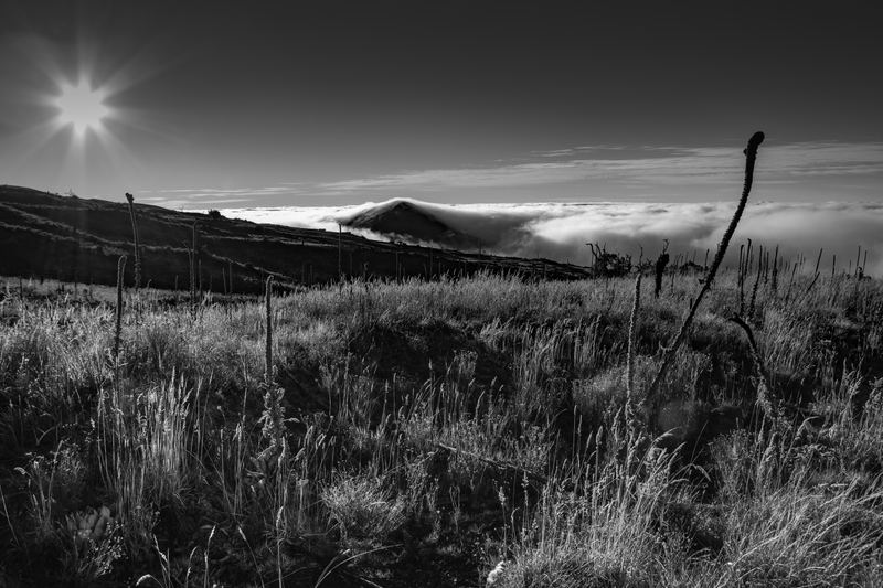 Black and white Hawaiian mountainside with a sunburst over a cloud inversion blanketing the valley below